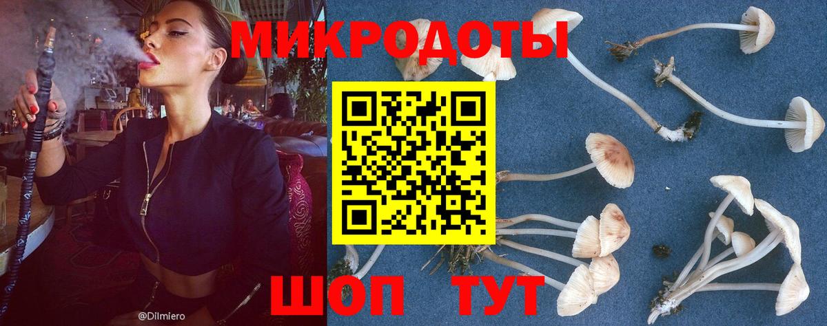 Псилоцибиновые грибы мухоморы  Псилоцибиновые грибы Psilocybe  Вход с VPN  Грязи 